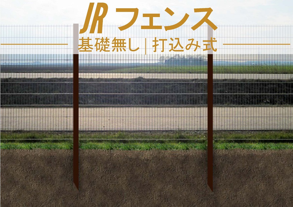 日5.3.jpg